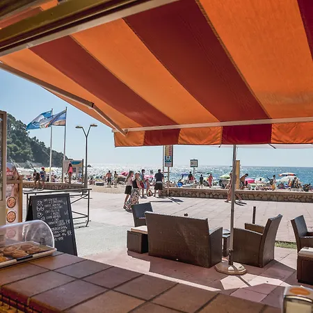 Rigat Park & ホテル