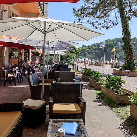 Rigat Park & ホテル